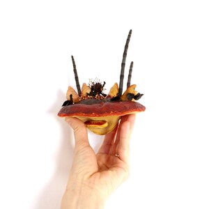 Floating Mushroom- Real mushroom art- Natural plants, seed pods and flowers creation