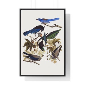 Nature-Inspired Birds Vertical Framed Poster, Bird Wall Art, Home Décor, Gift for Bird Lovers, Vintage Style Wall Art