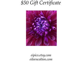 Gift Certificate Eileen Colton Photography