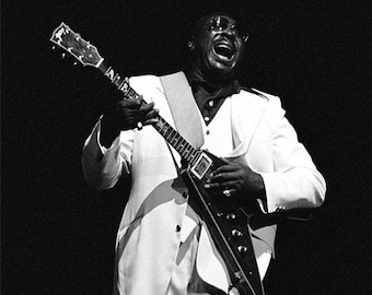 Albert King, 1977