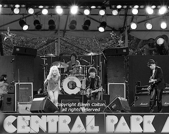 Blondie, 1979