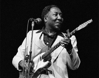 Muddy Waters, 1977