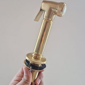 May include: A gold-colored bidet sprayer with a flexible hose. The sprayer has a trigger and a nozzle. The hose is connected to a round base. The bidet sprayer is held in a hand against a neutral background.