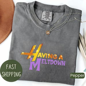 Having A Meltdown Shirt, Vintage 90s Style, Teenager Movie Shirt, Pop Singer Birthday Gift, Adult Kid Toddler Tee