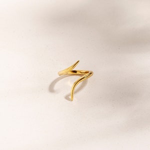 May include: A gold-toned ring with a unique, abstract design. The ring features a twisted, curved shape with a pointed end.