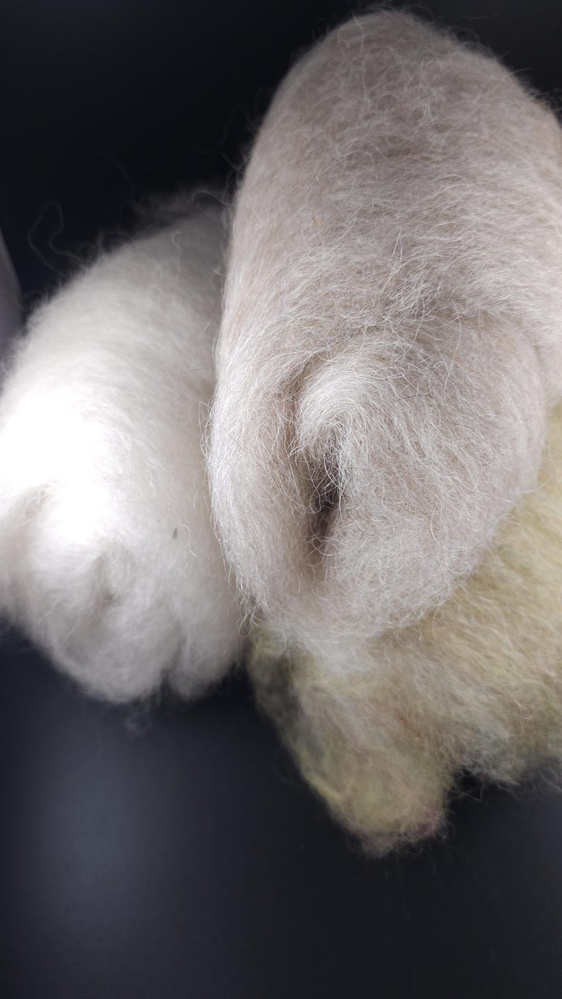 Valais Blacknose Wool - Hand-dyed - 3-pack - Hand-carded Wool for ...