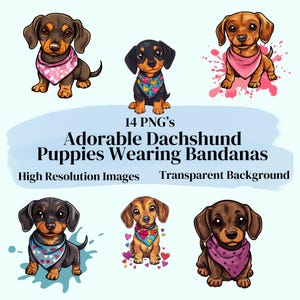 Entzückende Dackel-Welpen, die Bandanas tragen, ClipArt-Sammlung, 14 PNGs 300 dpi Illustrationen, hochwertige Bilder, transparenter Hintergrund.