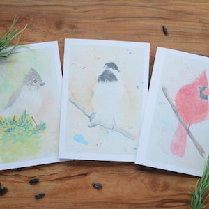 Ensemble de cartes pour notes aquarelles, oiseaux, 12 x 10 cm, mésange, cardinal, mésange. Carte de voeux, carte de visite, carte de remerciement, carte d'anniversaire