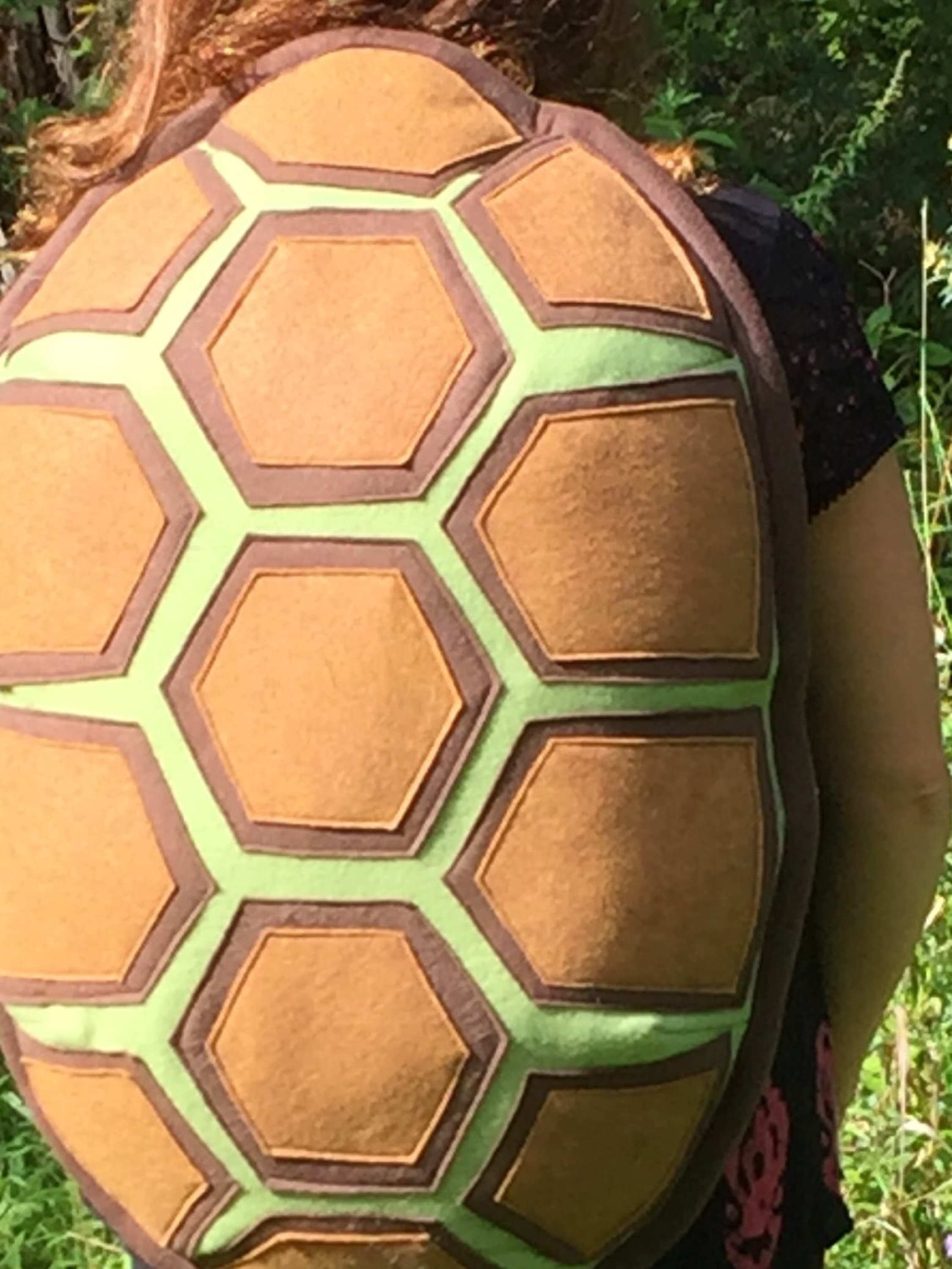 Turtle Tail & Two-toned Turtle Shell - Etsy