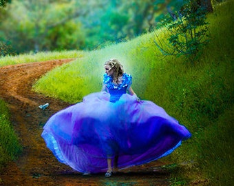 Cinderella Costume - Cinderella Dress, Adult Cinderella Dress 2015, New Cinderella ball gown