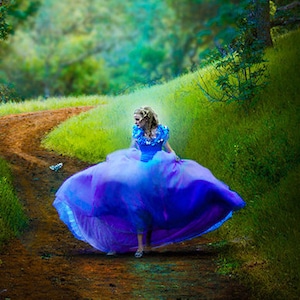 Cinderella Costume - Cinderella Dress, Adult Cinderella Dress 2015, New Cinderella ball gown