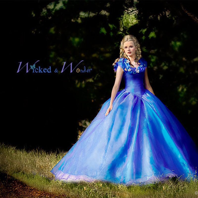 Cinderella Dress Etsy