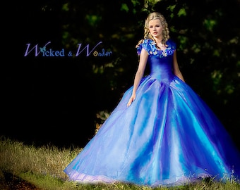 Cinderella Dress - Cinderella Costume, Adult Cinderella Dress 2015, New Cinderella ball gown