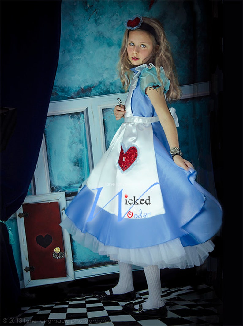 ALICE in Wonderland Dress Alice in Wonderland Custom Etsy