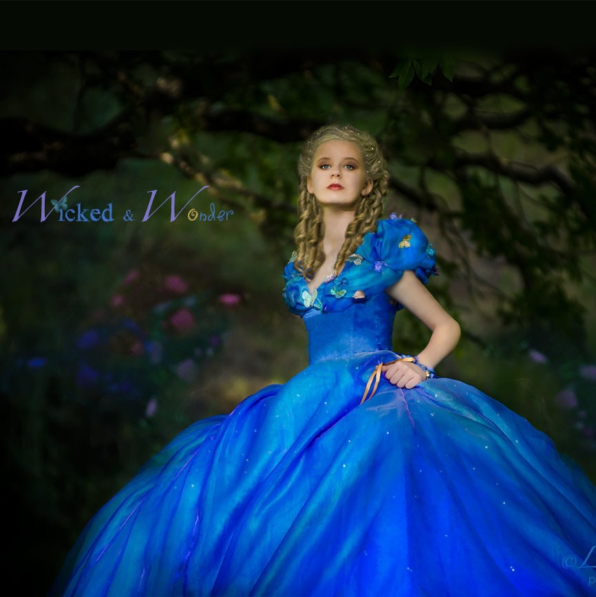 luxury cinderella dress Cinderella Dress - Cinderella Costume, Adult Cinderella Dress 2015, New  Cinderella Ball Gown