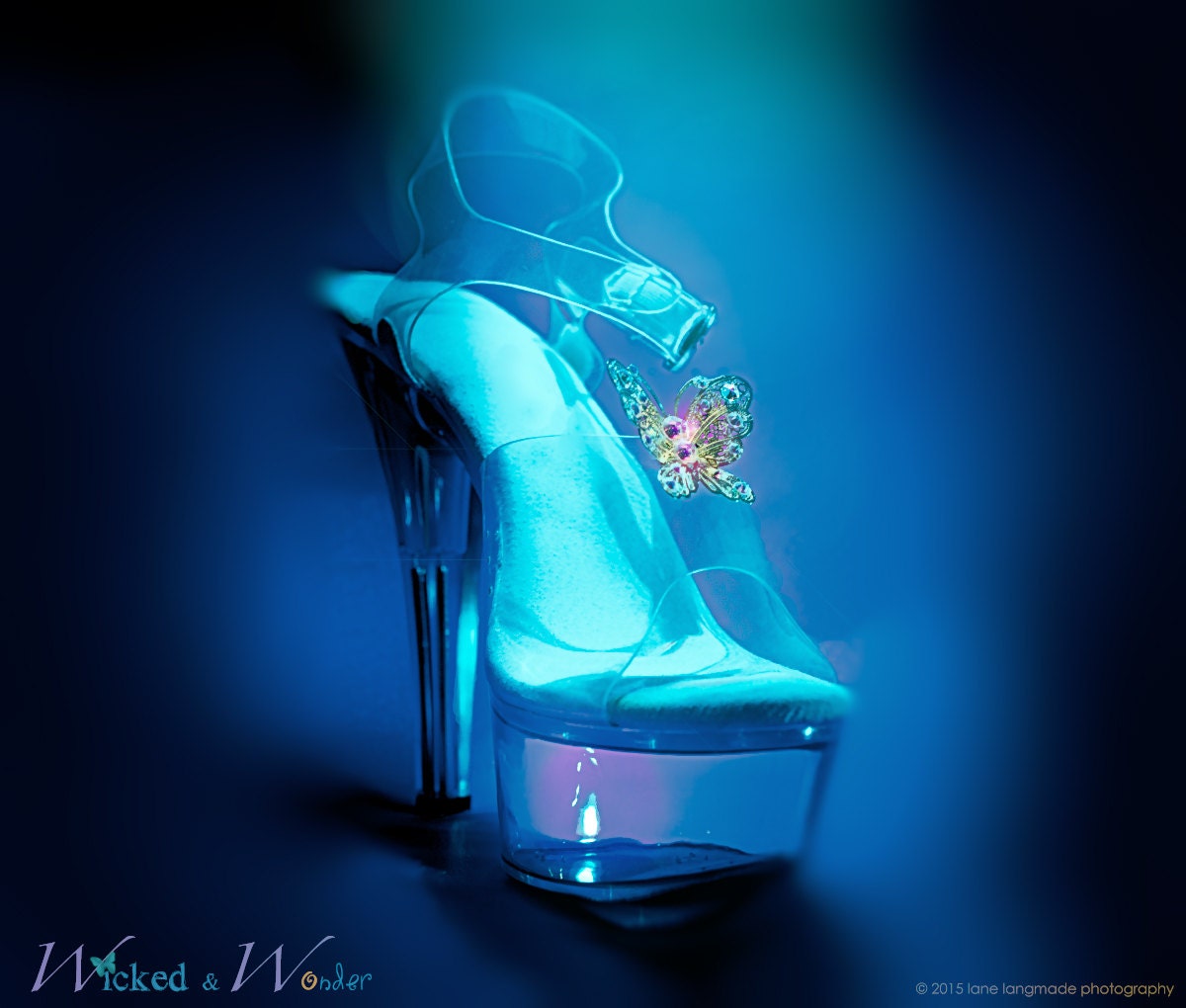 Cinderella's Glass Slippers 