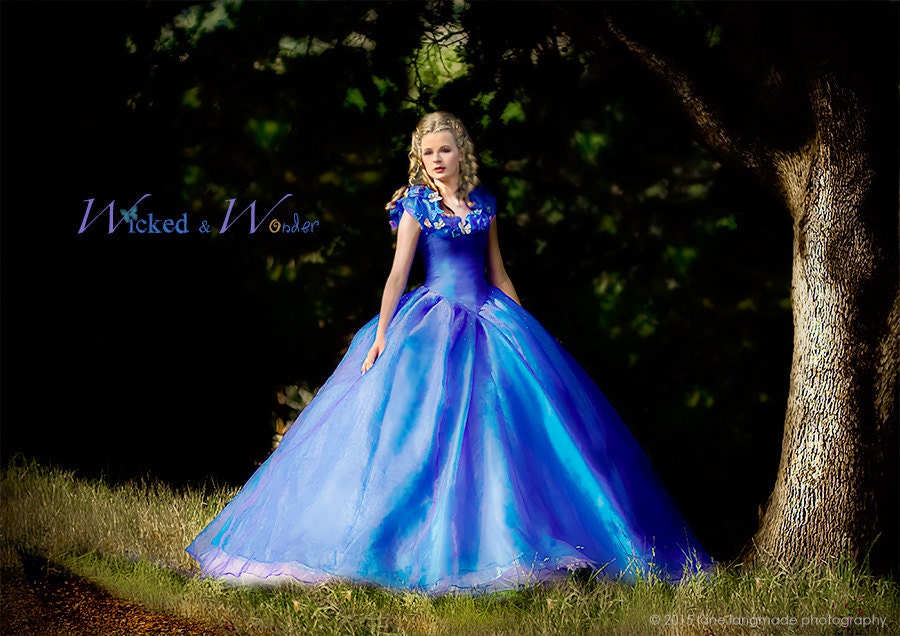 Cinderella Dress - Cinderella Costume, Adult Cinderella Dress 2015, New  Cinderella Ball Gown - Etsy