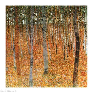 May include: An art print of a forest scene with tall, slender trees and a dense layer of fallen leaves. The trees have light-colored bark with dark markings. The leaves are a mix of orange and brown, creating a warm, autumnal feel. The text "NO.11 Beech Grove I" is at the bottom.