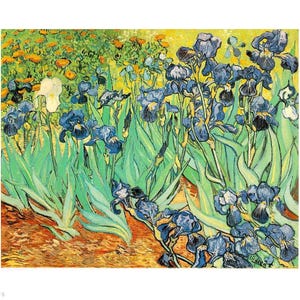 Hand painted Vincent van Gogh Irises wall art, famous van Gogh flowers canvas painting in oil for entrance hall & foyer decor, Irises copy