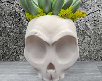 Surprised Skull Planter – 3D Printed PETG, Gothic Home Decor, Makeup Brush Holder, Pen Holder, Desk Organizer, Catch All, Halloween Decor
