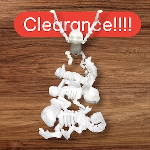 Skeleton Flexi Pets 4 PACK! - Sloth, Rabbit, Squirrel, Chameleon,3D Printed, Plain White (No Glow) or Blue/GRN Glow in the Dark
