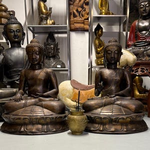 Può includere: Due statue di Buddha in bronzo in posizione del loto, con lineamenti dettagliati e basi ornate. Un piccolo porta incenso dorato è posto tra loro. Scaffali sullo sfondo mostrano altre statue religiose.