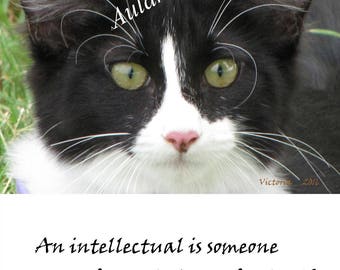 Cat Digital Download Photography, "Mind Watching "  Inspirational Quotes, Black Cat Photography, Printable Wall Art