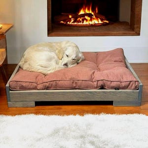 May include: A sleeping golden retriever rests on a rectangular dog bed. The bed has a light gray wooden frame and a coral-colored cushion. The dog bed is placed on a hardwood floor, with a white rug in the foreground and a fireplace in the background.