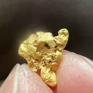 0.47 Gram Australian Natural Gold nuggets, unique lustrous look, direct from the mine in Central Queensland, Australia, for collection