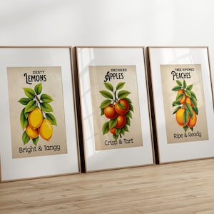 Juego de 3 láminas de frutas vintage: manzana, limón y melocotón, arte botánico para pared. Descarga digital. Decoración de galería de cocinas de estilo rústico.