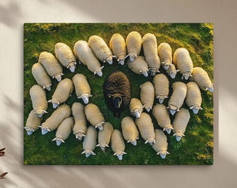 Black Sheep Canvas Art, Flock of Sheep Canvas, Unique Farmhouse Decor, Rustic Animal Print, Standing Out, Modern Country Home Canvas