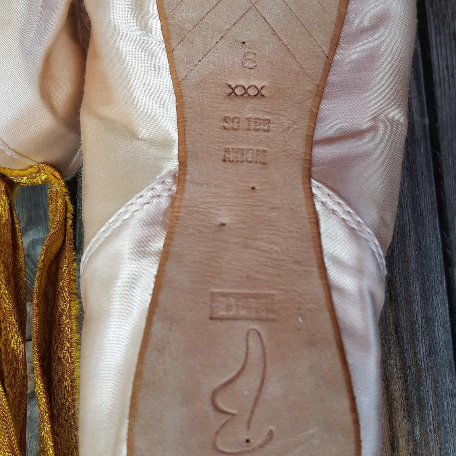 ballet pointe shoes, with petite point