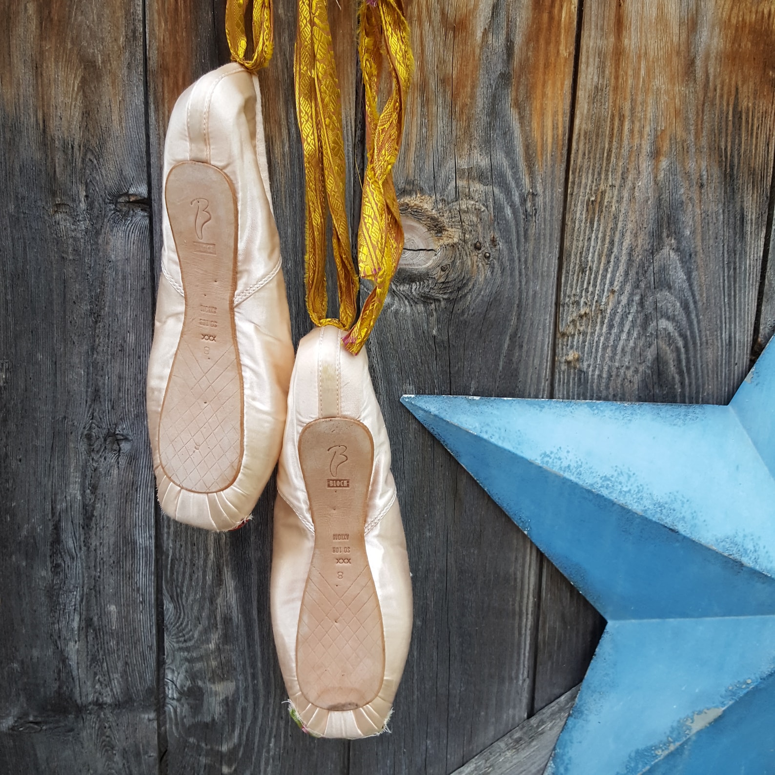 ballet pointe shoes, with petite point