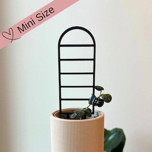 May include: A small, beige planter with vertical ribbed detailing, holding a small plant and a black trellis. The words "Mini Size" are printed on a pink banner. The planter is held by a person.