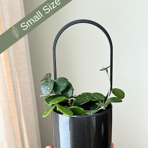 Kleines ovales Pflanzengitter, modernes Hoya-Topfdekor, Innengarten