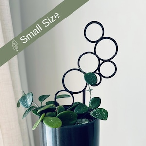 Kleines Bubble-Pflanzengitter: Indoor-Ranke, Geschenk für Pflanzenliebhaber