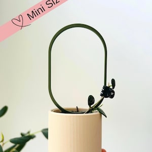Mini Oval Pflanzengitter, Hoya Kletterhilfe, Moderne Pflanzendekoration