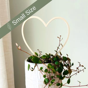 Puede incluir: Un pequeño macetero de cerámica blanca con un patrón geométrico, que presenta una planta verde con enredaderas colgantes. Un aro de madera en forma de corazón se coloca alrededor de la planta, agregando un toque decorativo.