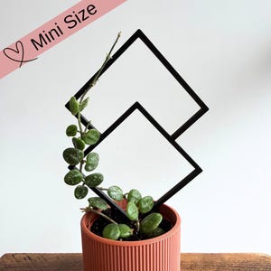 Mini diamantformad växtspaljé, tillbehör till hoyaväxter, krukväxtpåle