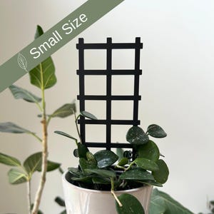 May include: A small, white ceramic pot with a textured pattern holds a green plant with a black metal trellis. The trellis has a grid pattern with six squares.