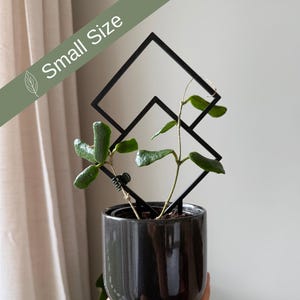 Liten diamantformad växtspaljé, krukväxtpåke, Hoya-tillbehör