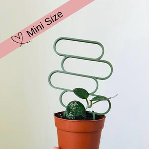 Könnte beinhalten: Eine kleine Topfpflanze mit einem grünen Spalier. Die Pflanze befindet sich in einem braunen Topf und hat grüne Blätter. Das Spalier ist ein grünes, schleifenförmiges Design. Der Text "Mini Size" befindet sich auf einem rosa diagonalen Banner.