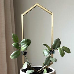 Enrejado hexagonal para plantas Hoya, decoración geométrica moderna para plantas