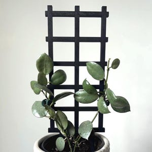 Lattice Plant Trellis for Climbing Plants, Modern Houseplant Stake