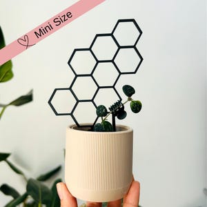 Mini Honeycomb Plant Trellis, Indoor Garden Decor