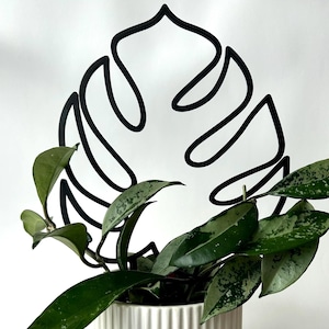 Monstera Trellis: Modern Plant Pot Decor for Climbing Plants