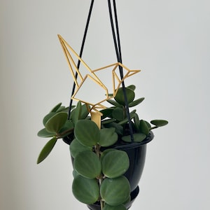 May include: A hanging black planter with a trailing green plant and a gold geometric bird-shaped plant stake. The plant has round, dark green leaves. The planter hangs from black cords against a white background.