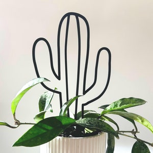 Peut inclure: Une plante en pot avec de longues feuilles vertes et un tuteur en métal noir en forme de cactus. Le pot en céramique blanche présente des détails à rayures verticales. Fond blanc uni.