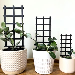 May include: Three black plant trellis supports in different sizes, each with a potted plant with green leaves. The pots are white with a textured pattern.