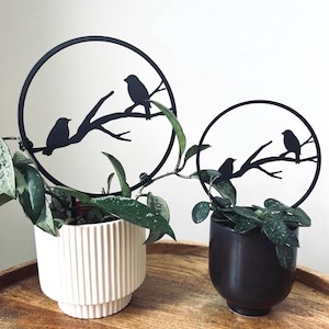 Ensemble de treillis pour plantes oiseau mésange, élégant support de vigne d'intérieur